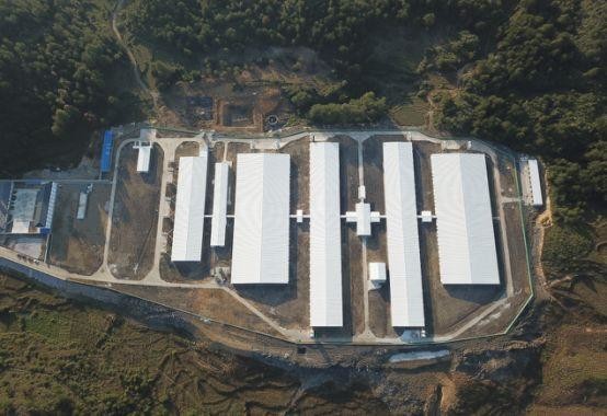 son şirket davası hakkında Filipinler'de 500 Domuz çiftliği