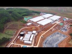 Bitirme Besleyici ile PVC Panel Çit Besi Kalemi Domuzcuk Kreş Sandığı